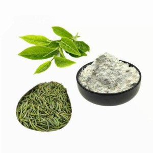 EGCG Green tea extract